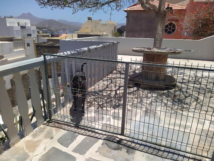 Вилла Vivenda Com Patio, No Coracao Do Минделу Экстерьер фото